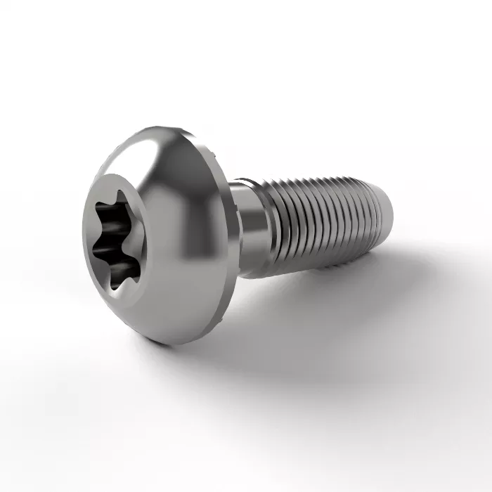 Zentralschrauben S12x30 T50 P45 B-Typ Nut 10 selbstschneidend